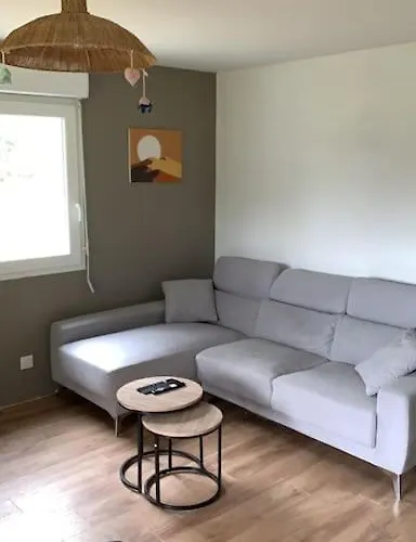 Appartement Lumineux De 60M2